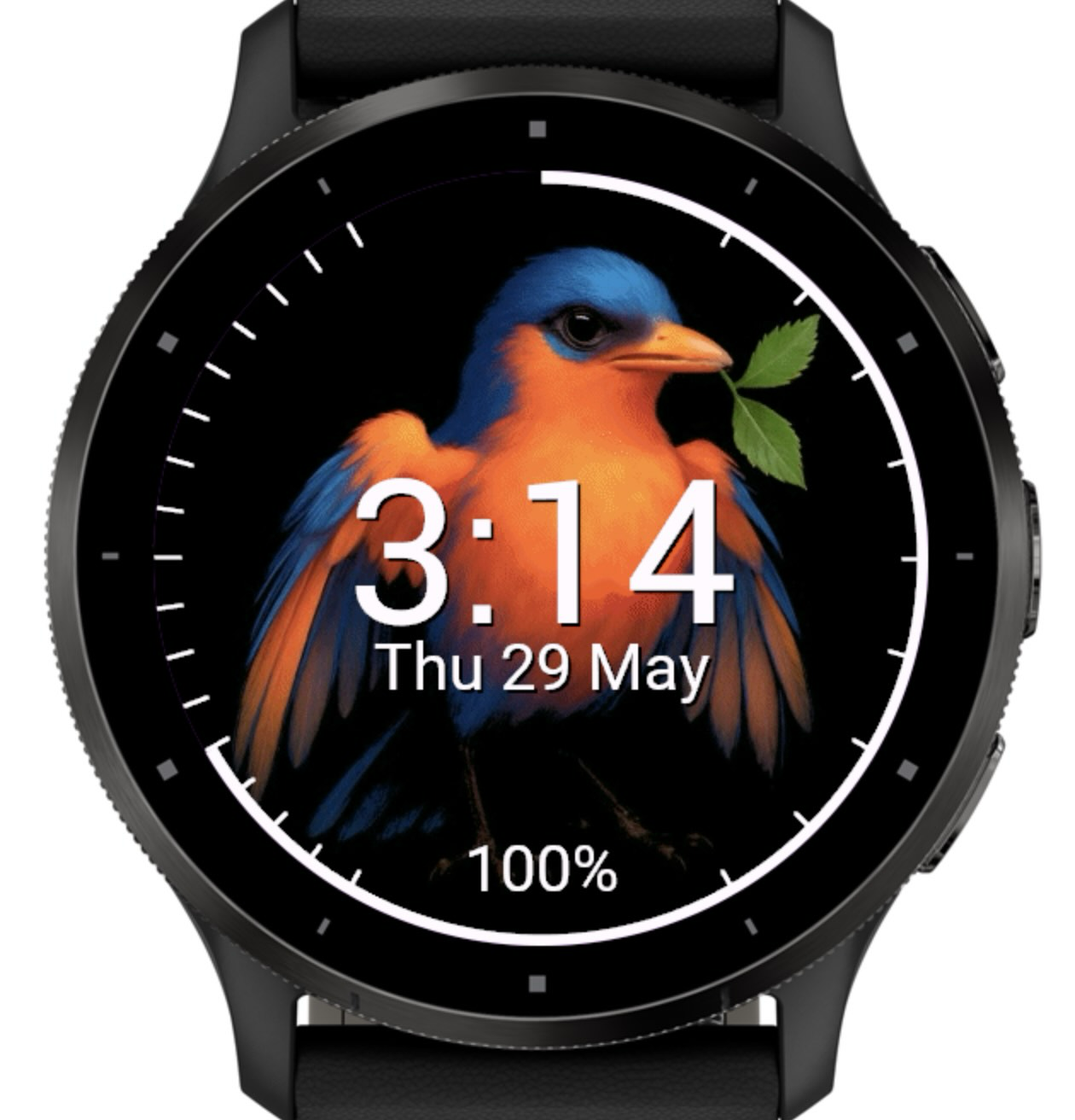 Hatchling app icon